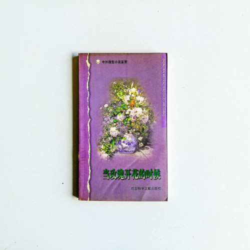 當玫瑰開花的時候 當玫瑰開花的時候
