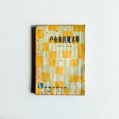 盧布林的魔術師 盧布林的魔術師