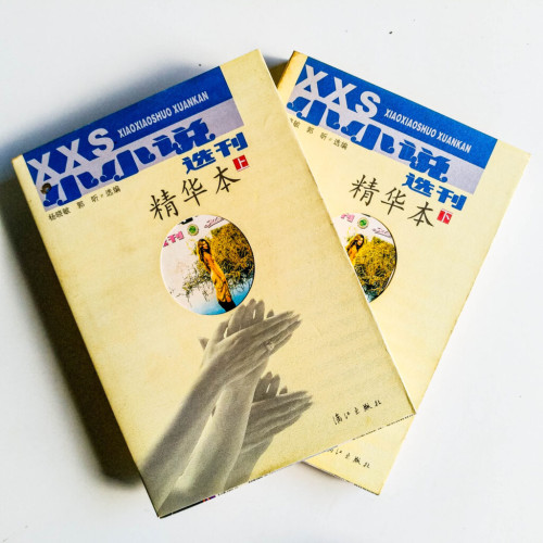 小小說選刊精華本(上下) 小小說選刊精華本(上下)