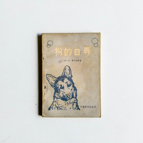 狗的自尊 狗的自尊