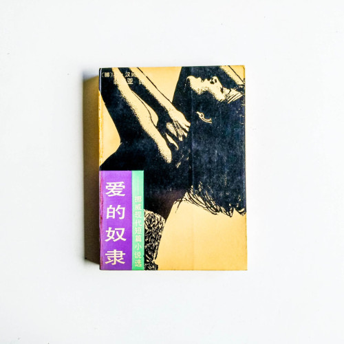 愛的奴隸:挪威現代短篇小說選 愛的奴隸:挪威現代短篇小說選