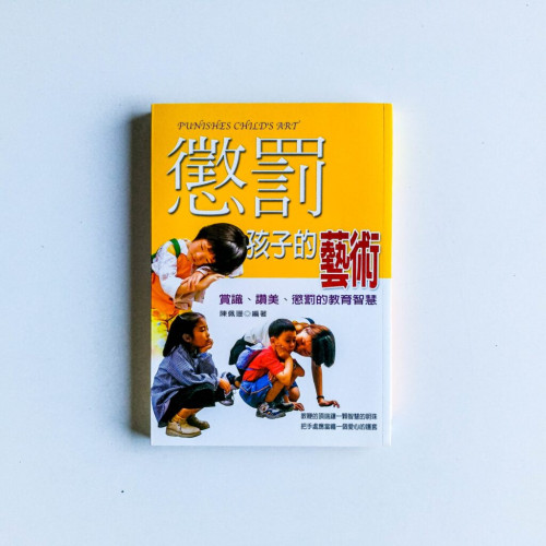 懲罰孩子的藝術:賞識、讚美、懲罰的教育智慧 懲罰孩子的藝術:賞識、讚美、懲罰的教育智慧