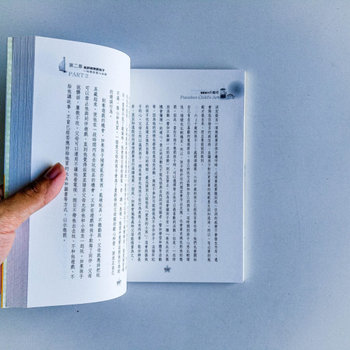 懲罰孩子的藝術:賞識、讚美、懲罰的教育智慧 懲罰孩子的藝術:賞識、讚美、懲罰的教育智慧