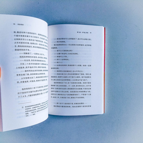 尋找母親 尋找母親
