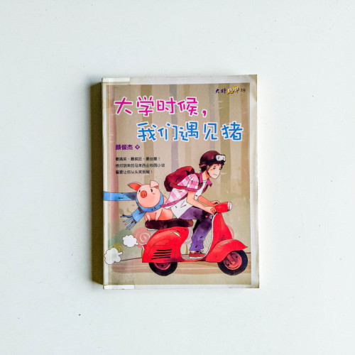 大學時候,我們遇見豬 大學時候,我們遇見豬