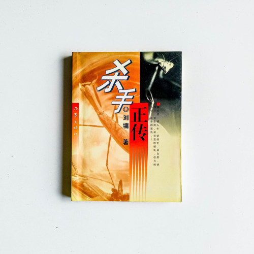 殺手正傳 殺手正傳