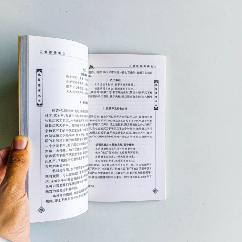 償詩債集 償詩債集
