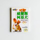 威爾斯柯基犬教養小百科 威爾斯柯基犬教養小百科
