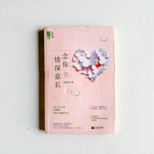 念你情深意長 念你情深意長