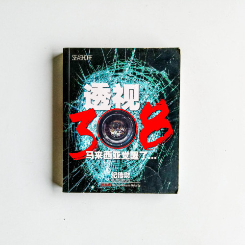 透視308:馬來西亞覺醒了… 透視308:馬來西亞覺醒了…
