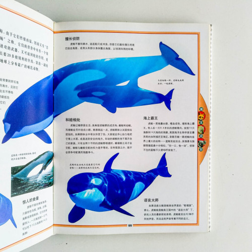 動物百科 動物百科