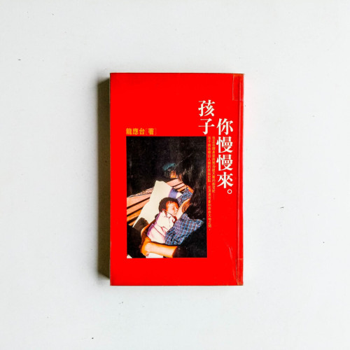 孩子你慢慢來 孩子你慢慢來