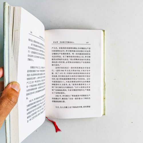 從苦力到巨子:李引桐傳奇 從苦力到巨子:李引桐傳奇