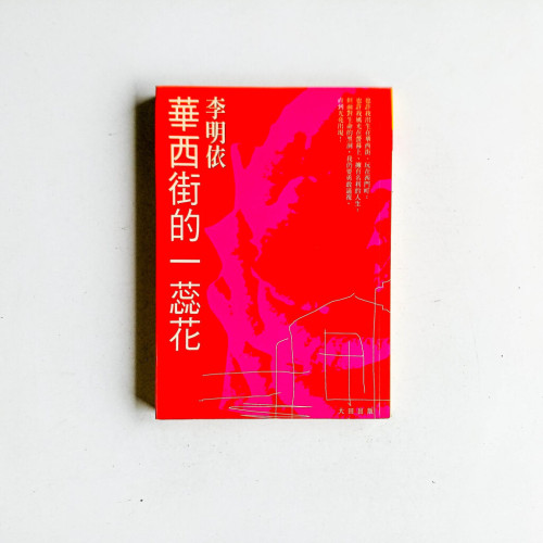 華西街的一蕊花 華西街的一蕊花
