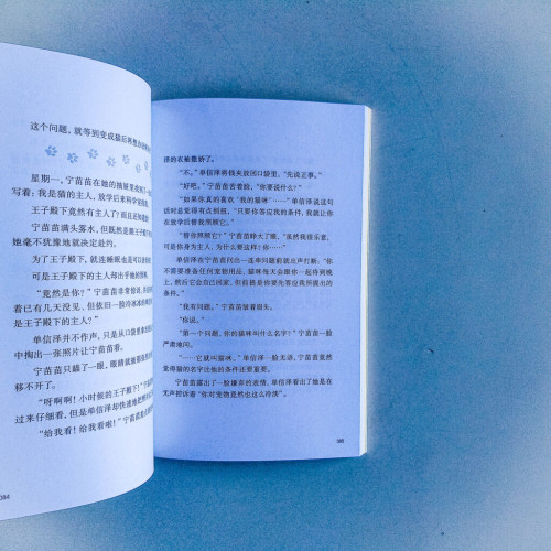 喵嗚~吃我一記貓貓拳! 喵嗚~吃我一記貓貓拳!