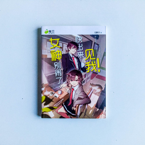 女神別鬧了,快出來見我! 女神別鬧了,快出來見我!