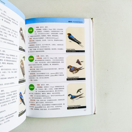 中國鳥類圖鑑 中國鳥類圖鑑