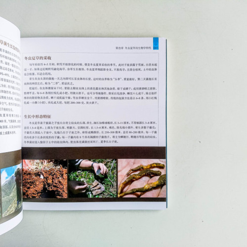 冬蟲夏草藍皮書 冬蟲夏草藍皮書