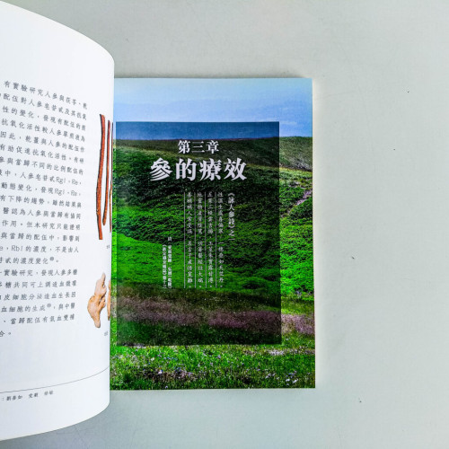 參療:對症吃參更健康 參療:對症吃參更健康