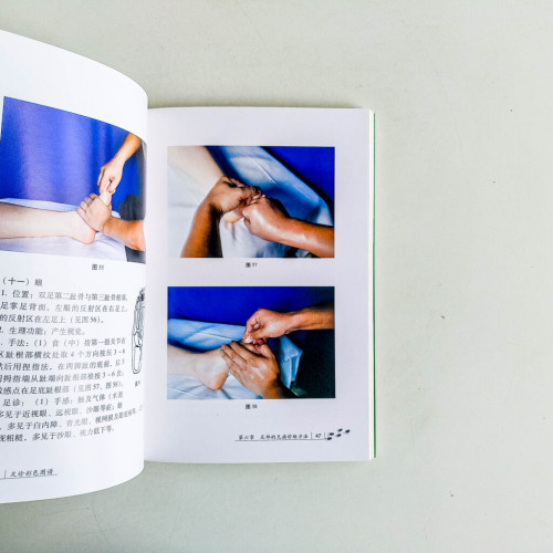 足診彩色圖譜 足診彩色圖譜