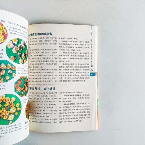 沈教授講藥補 沈教授講藥補