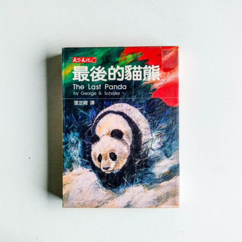 最後的熊貓 最後的熊貓