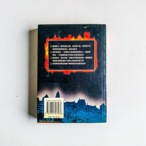 中國暗殺王:王亞樵 中國暗殺王:王亞樵