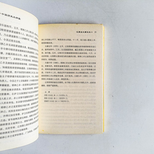 中國歷史大講堂:遼夏金大事本末 中國歷史大講堂:遼夏金大事本末