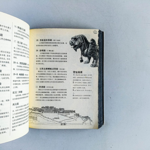 藏地牛皮書 藏地牛皮書