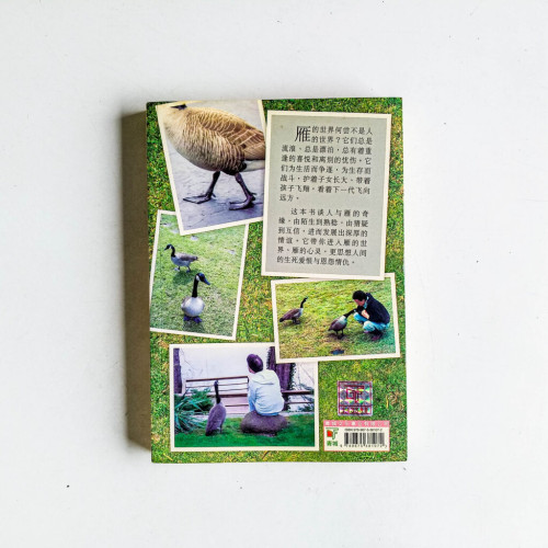 啊啊:一段野雁與人的奇緣 啊啊:一段野雁與人的奇緣