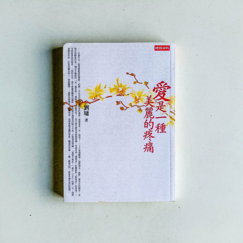 愛是一種美麗的疼痛 愛是一種美麗的疼痛