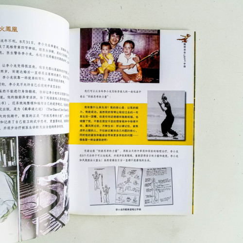 政治截拳道:龍哥完全UBAH手冊 政治截拳道:龍哥完全UBAH手冊