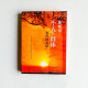 賽斯書:個人與群體--事件的本質 賽斯書:個人與群體--事件的本質