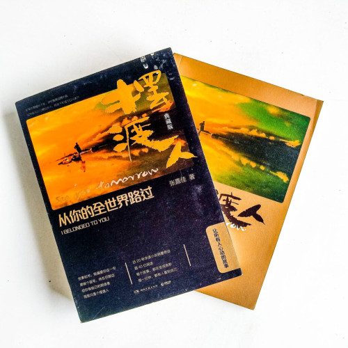 擺渡人:從你的世界路過(附隨書紀念冊) 擺渡人:從你的世界路過(附隨書紀念冊)