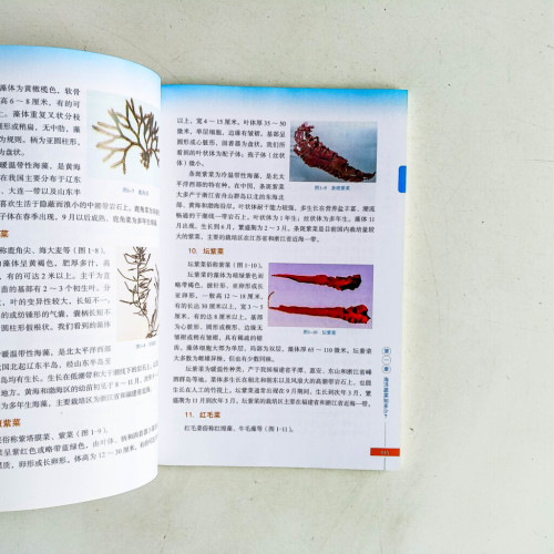 海洋蔬菜與營養:專家教您食海鮮 海洋蔬菜與營養:專家教您食海鮮