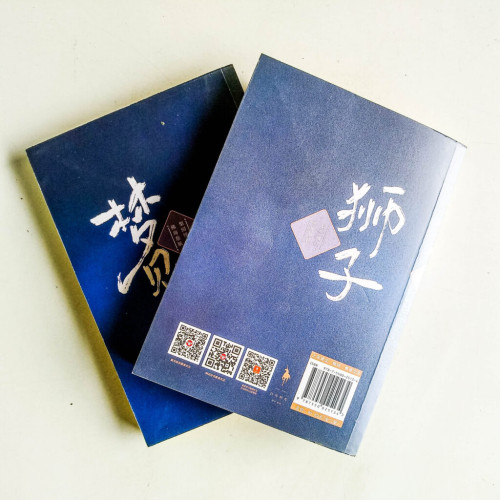 夢見獅子(全二冊) 夢見獅子(全二冊)