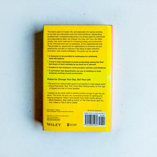 Change Your Day, Not Your Life: A Realistic Guide to Sustained Motivation, More Productivity and the Art of Working Well Change Your Day, Not Your Life: A Realistic Guide to Sustained Motivation, More Productivity and the Art of Working Well