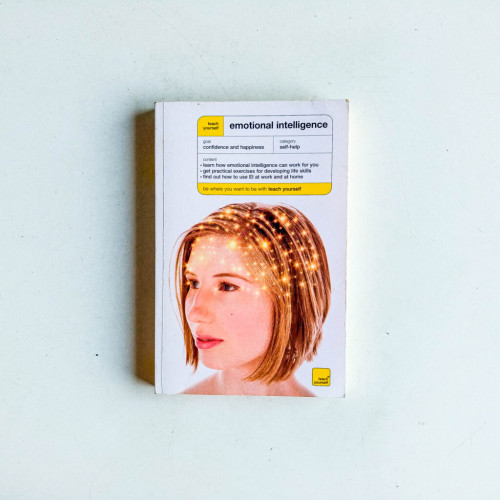 Teach Yourself Emotional Intelligence Teach Yourself Emotional Intelligence