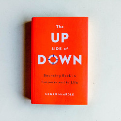 The Up Side Of Down: Bouncing Back in Business and in Life