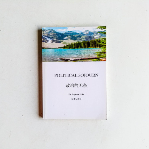 Political Sojourn 政治的无奈 Political Sojourn 政治的无奈