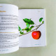 Colorado Cleanse 3.0: 14 Day Detox and Digestive Rejuvenation (Third Edition) Colorado Cleanse 3.0: 14 Day Detox and Digestive Rejuvenation (Third Edition)