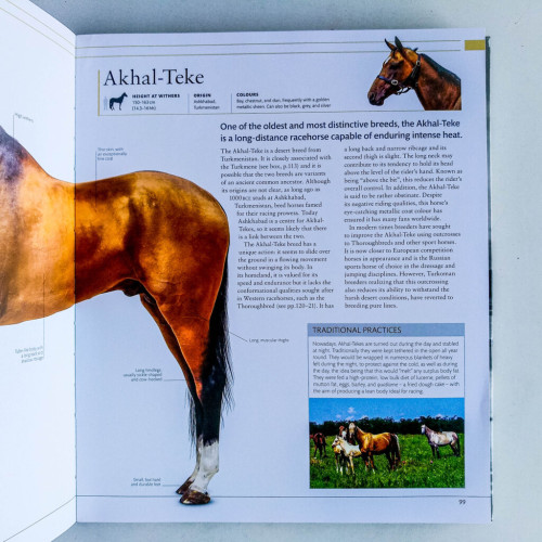 The Horse Encyclopedia The Horse Encyclopedia
