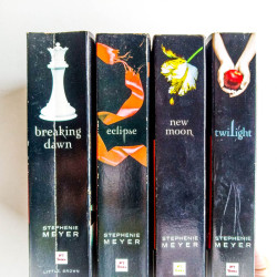 Twilight series (4 books)