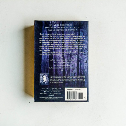 Fallen (Fallen, Book 1) Fallen (Fallen, Book 1)