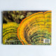 Art for Secondary Two Art for Secondary Two