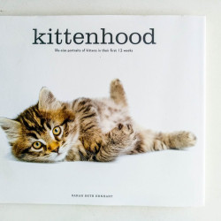 Kittenhood: Life-size Portraits of Kittens in Their First 12 Weeks