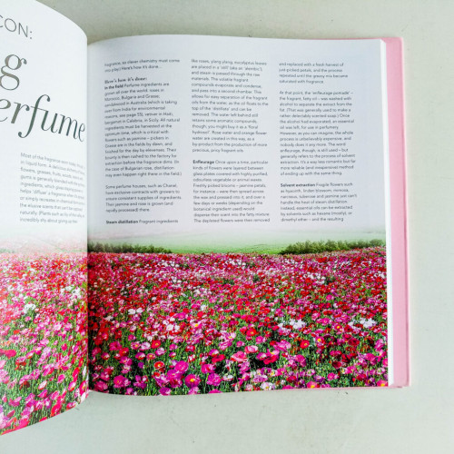 The Perfume Bible