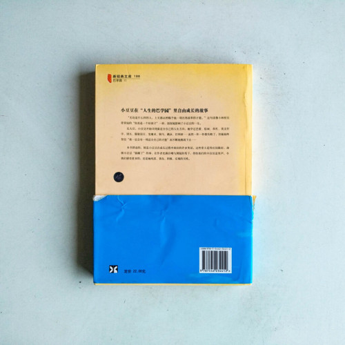 丟三落四的小豆豆 丟三落四的小豆豆