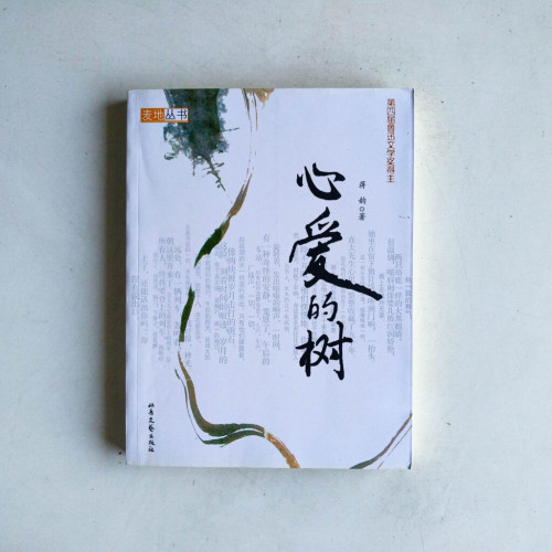 心愛的樹 心愛的樹
