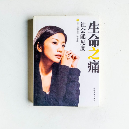 生命之痛:社會能見度 生命之痛:社會能見度